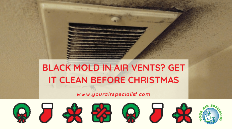 Black Mold in Air Vents_ Get It Clean Before Christmas
