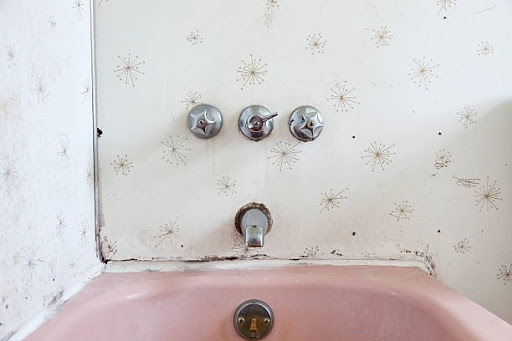 How to Get Rid of Pink Mold in the Shower - This Old House